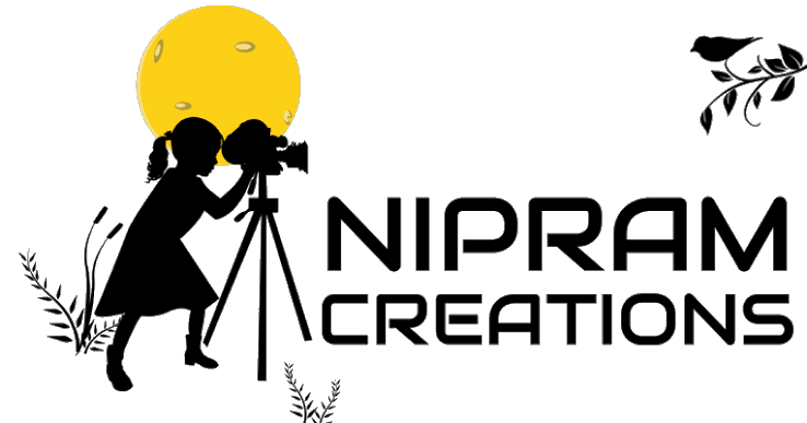 NIPRAM CREATIONS